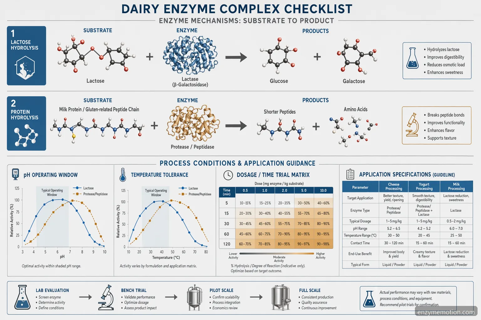 best digestive enzymes for gluten and dairy intolerance B2B dairy process diagram showing lactase and protease reaction flows
